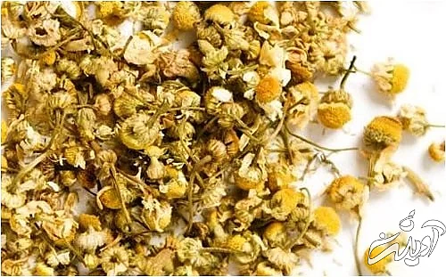 بهترین مواد بی خطر و سنتی برای رنگ کردن موهای شما بهترین مواد بی خطر و سنتی برای رنگ کردن موهای شما